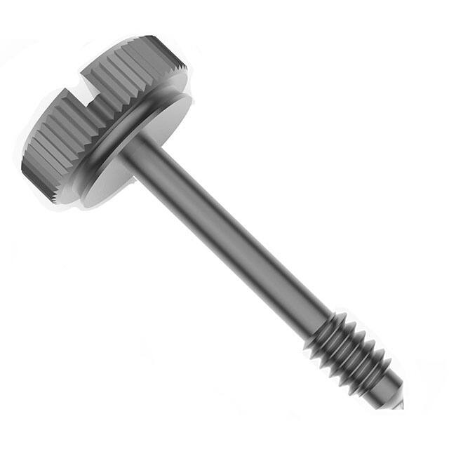 0739-SS RAF Electronic Hardware  Viti Bulloni